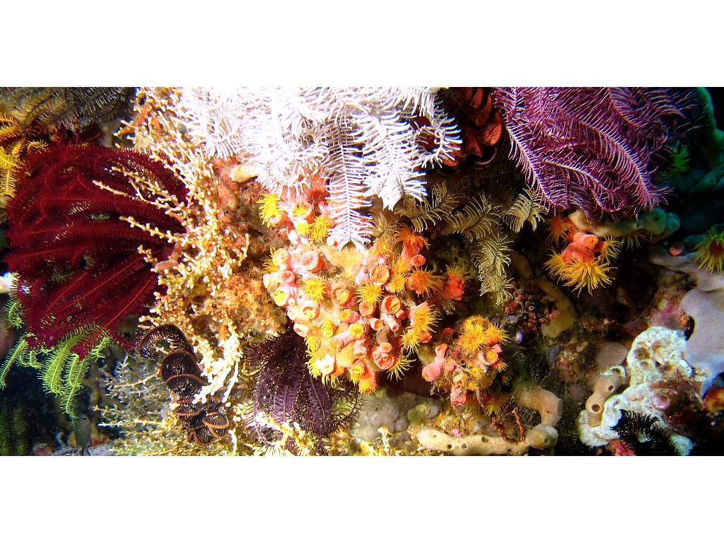 IMG_6716 (1) IMG_6716 (1)